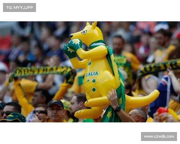 卡塔尔中场：球迷是球队头号球星 训练氛围空前高涨